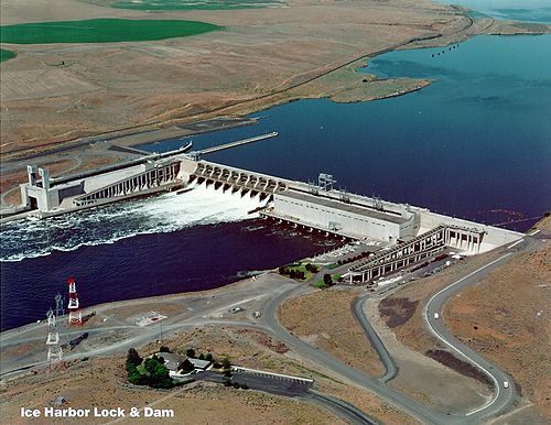 The Snake River Chinook Story